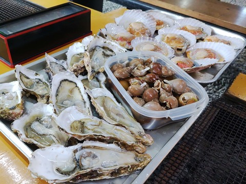 IMG_20240503_165510~2_copy_2782x2086