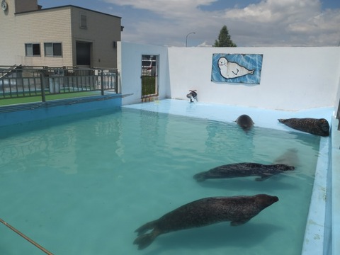 2022_0722_06592041_copy_1120x840