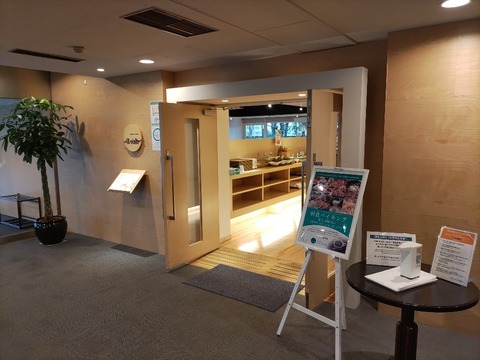 IMG_20230416_083717_copy_951x713