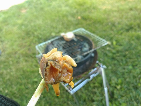 DSC_0090_copy_2000x1500