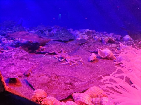 IMG_20230618_102441_copy_866x649