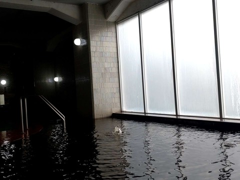 Compress_20250830_135508_8376