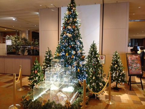 DSC_0788_copy_2664x1998