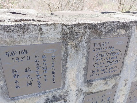 IMG_20240429_095212_copy_1968x1476