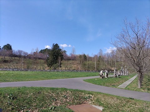 IMG_20240429_093503_copy_1588x1191