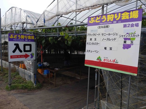 Compress_20251030_204556_6658