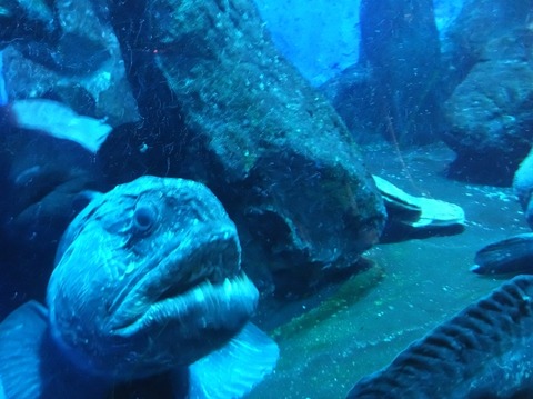 2022_0722_07011202_copy_948x710