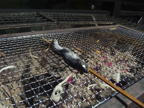 2021_0612_19234100_compress19