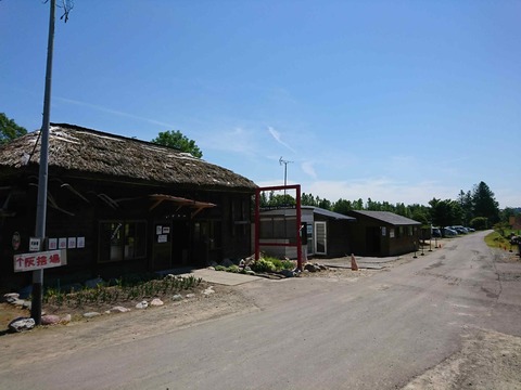 DSC_0035_compress97
