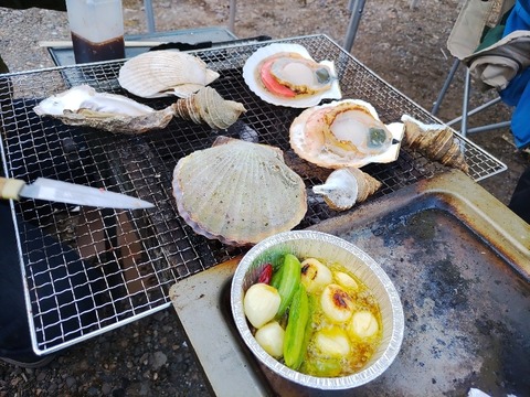 IMG_20230503_175956_copy_804x603