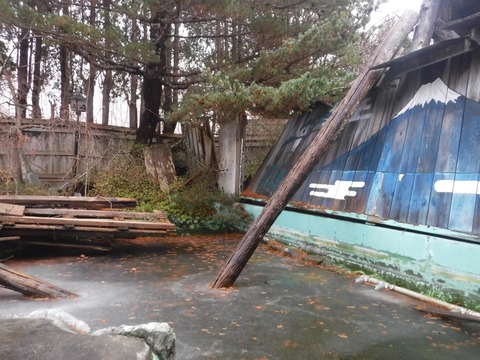 Compress_20260114_122653_3792