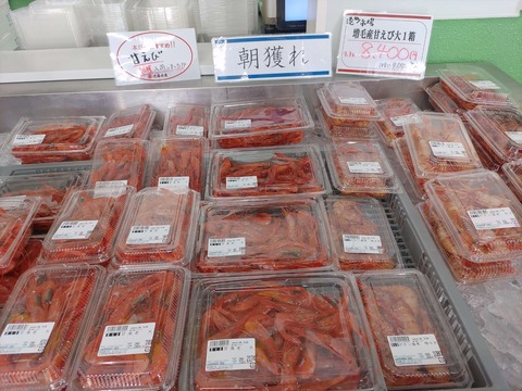 IMG_20240317_114952_copy_2432x1824