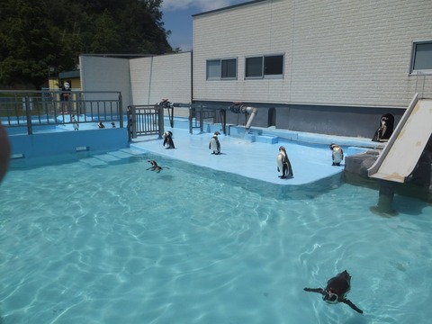 2022_0722_06591290_copy_1024x768