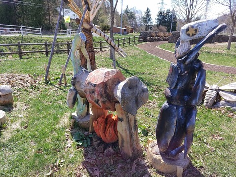 IMG_20240429_093113_copy_1440x1080