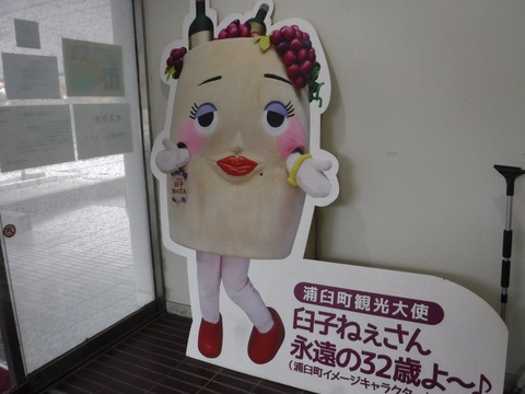 2020_1025_10335400_compress27