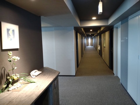 DSC_0050_copy_4000x3000