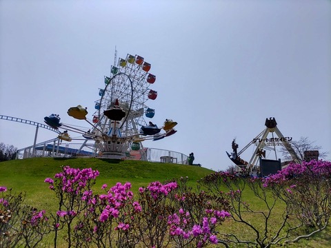 IMG_20240427_122446~2_copy_2612x1959