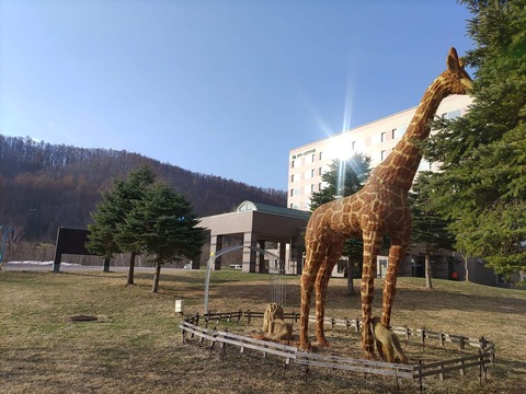 IMG_20240414_063853_copy_1984x1488