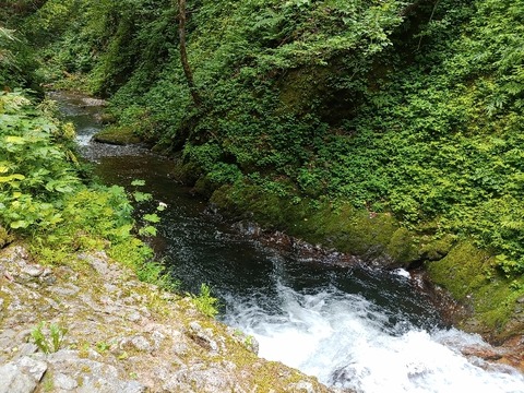 IMG_20230709_121518_copy_747x560