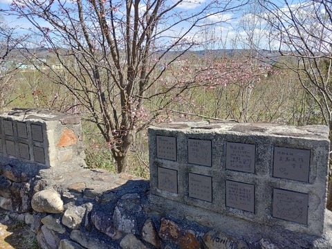 IMG_20240429_095054_copy_1692x1269