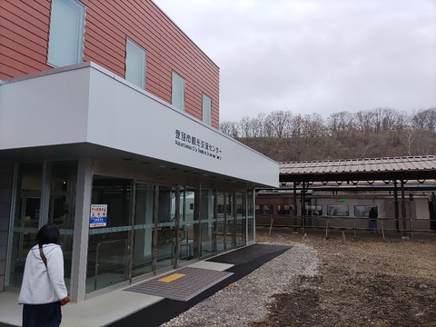 IMG_20230326_101246_copy_925x694