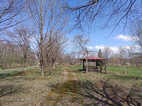 IMG_20240429_093804_copy_1156x867