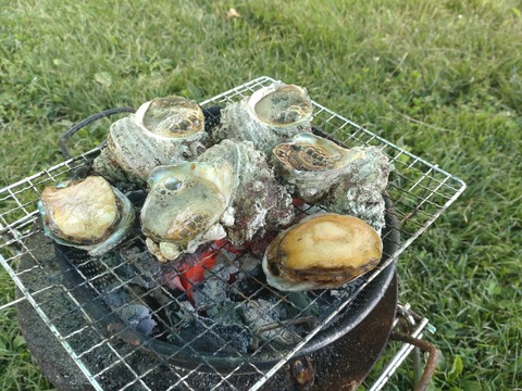 DSC_0094_copy_2000x1500