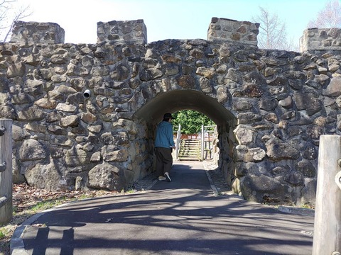 IMG_20240429_094229_copy_1836x1377