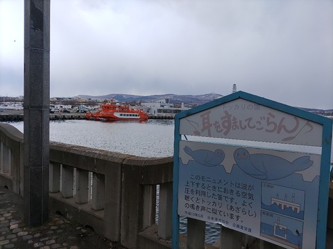 IMG_20230318_124137_copy_1017x762