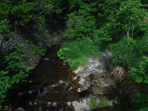 2021_0111_00475900_compress26