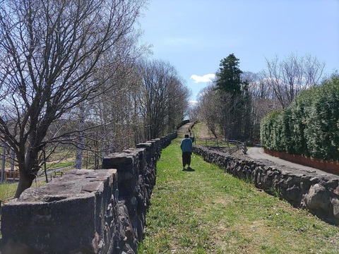 IMG_20240429_094533_copy_1368x1026