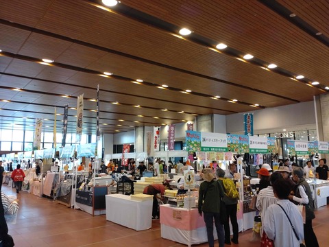 Compress_20250923_212429_9067