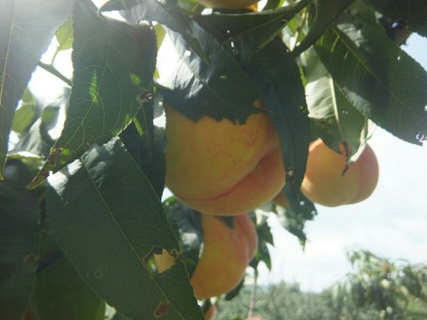 2019_0908_09395300-1280x960