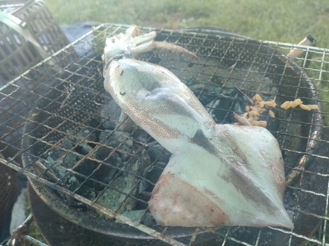 DSC_0100_copy_2000x1500