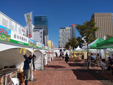 DSC_0422_copy_2464x1848