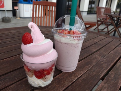 DSC_0070_copy_3800x2850