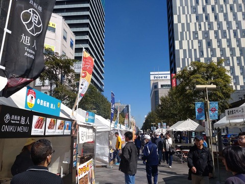 DSC_0424_copy_2304x1728