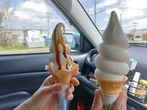 IMG_20240504_095210_copy_4000x3000