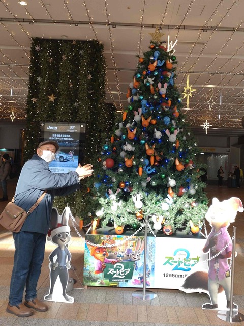 Compress_20251219_144639_9245