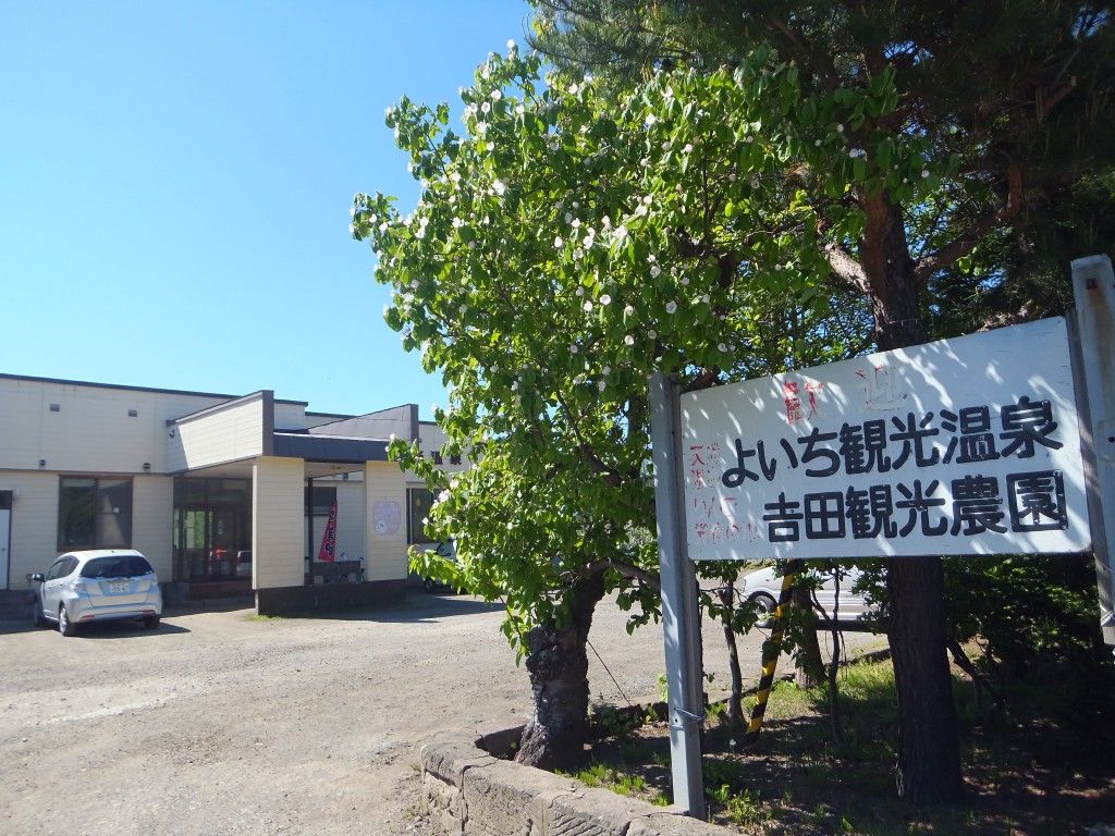 イメージ 5