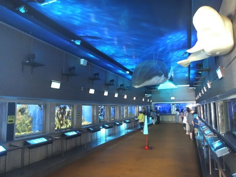 2022_0722_06594987_copy_969x728