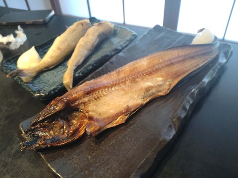 Compress_20250825_074203_3446