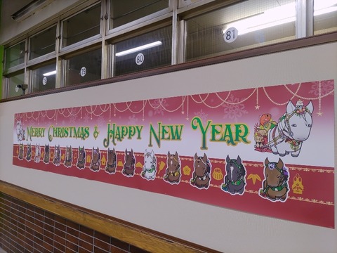 IMG_20231229_112116_copy_907x680