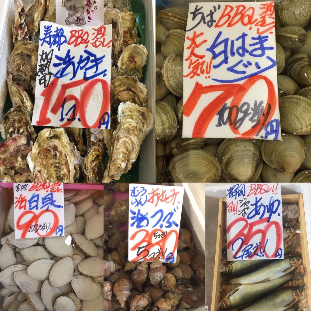 8月6日日曜日 爆安 q用活貝あります 寿都産活かき1個150円 活白はまぐり100g当たり70円 活白貝100g当たり90円 お刺身 生するめいか5はい380円 色々あります 爆安 鮮魚 青果販売 爆安の殿堂 道産魚工房 どさんここうぼう 札幌市北区北24条西17丁目3 3 8月6日日曜日 爆安 q用活貝あります 寿都産活かき1個150円 活白はまぐり100g当たり70円 活白貝100g当たり90円 お刺身 生するめいか5はい380円 色々あります 爆安 鮮魚 青果販売 爆安の殿堂 道産魚工房 どさんここうぼう 札幌市北区北24条西17丁目3 3