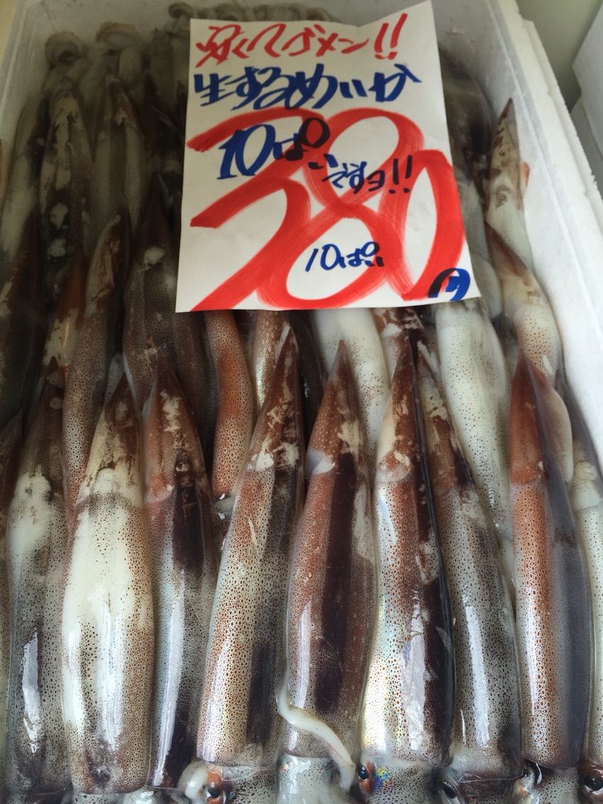 爆安の殿堂 道産魚工房 7月3日 日曜日 爆安 生するめいか10ぱい380円 お刺身 煮付 酢いか バター焼 いか飯 札幌市道産魚工房どさんこ 爆安 鮮魚 青果販売 爆安の殿堂 道産魚工房 どさんここうぼう 札幌市北区北24条西17丁目3 3 新川通沿い