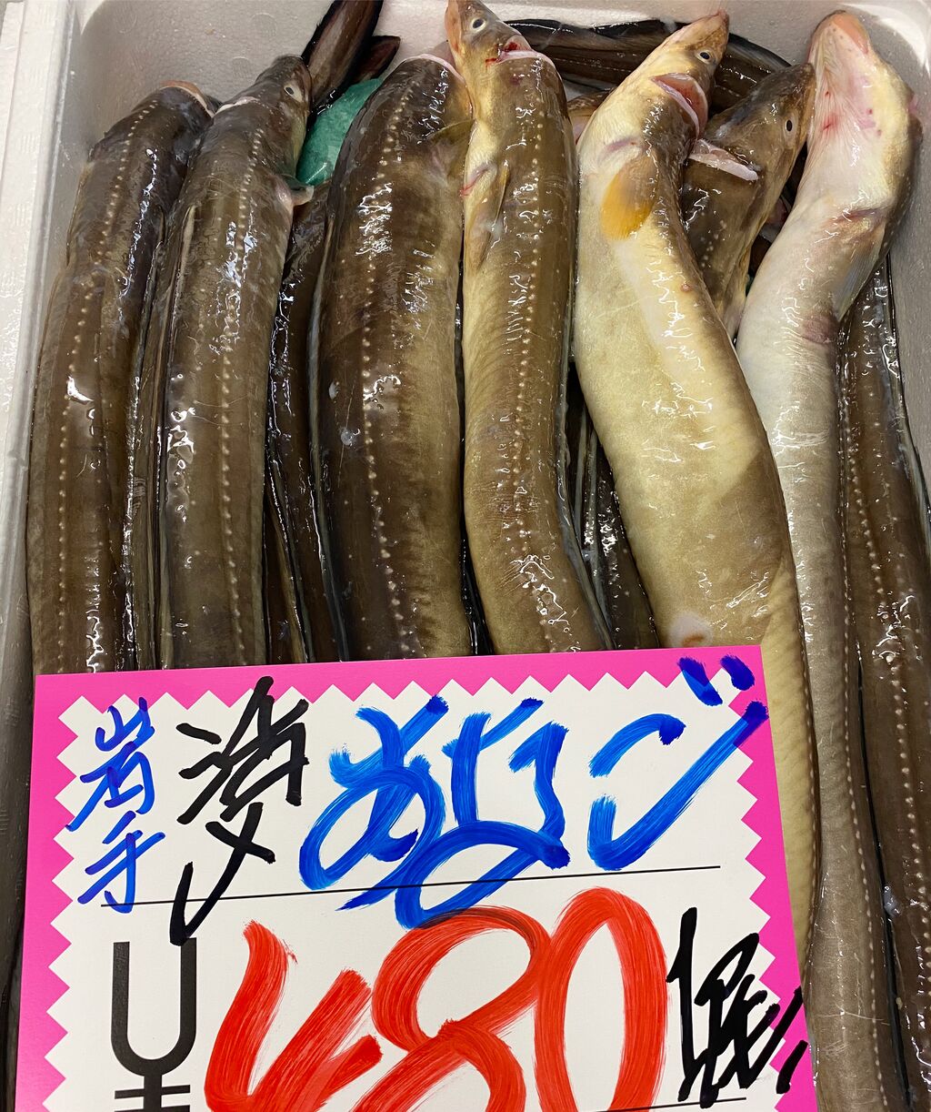 8月29 30日 土曜 日曜日 爆安の殿堂 道産魚工房 土曜 日曜日限定 お刺身盛合1盛980円 爆安 鮮魚 青果販売 爆安の殿堂 道産魚工房 どさんここうぼう 札幌市北区北24条西17丁目3 3 新川通沿い 8月29 30日 土曜 日曜日 爆安の殿堂 道産魚工房 土曜 日曜日限定 お刺身盛合1盛980円 爆安 鮮魚 青果販売 爆安の殿堂 道産魚工房 どさんここうぼう 札幌市北区北24条西17丁目3 3 新川通沿い