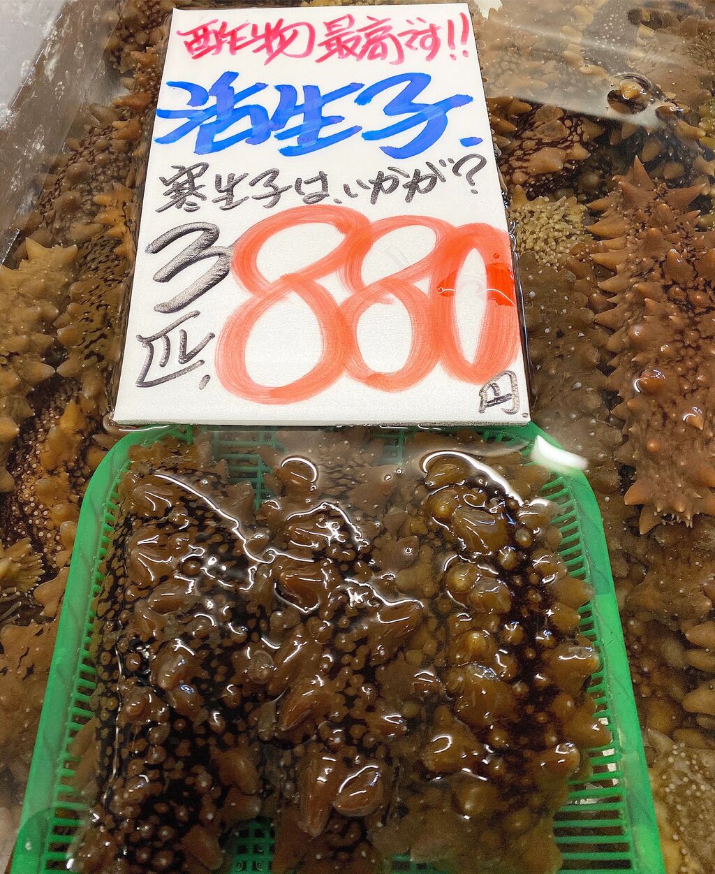 2月24日 水曜日 爆安の殿堂 道産魚工房 電話番号011 746 6750 New Open 道産魚工房 別邸 韓国式炭火焼 貝天国 爆安 鮮魚 青果販売 爆安の殿堂 道産魚工房 どさんここうぼう 札幌市北区北24条西17丁目3 3 新川通沿い