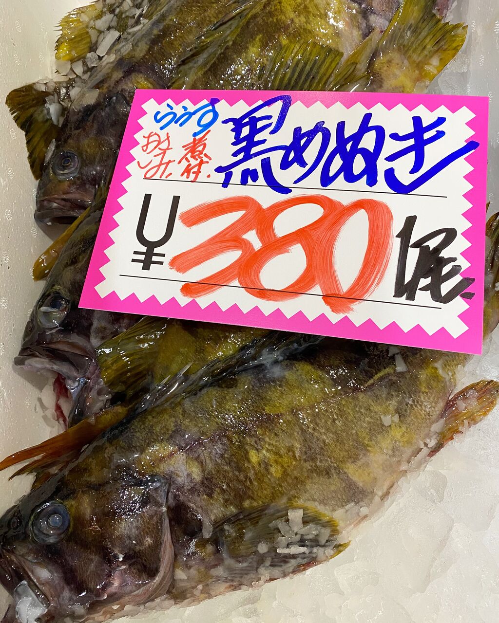 2月19日 金曜日 爆安の殿堂 道産魚工房 New Open 道産魚工房 別邸 韓国式炭火焼 貝天国 爆安 鮮魚 青果販売 爆安の殿堂 道産 魚工房 どさんここうぼう 札幌市北区北24条西17丁目3 3 新川通沿い