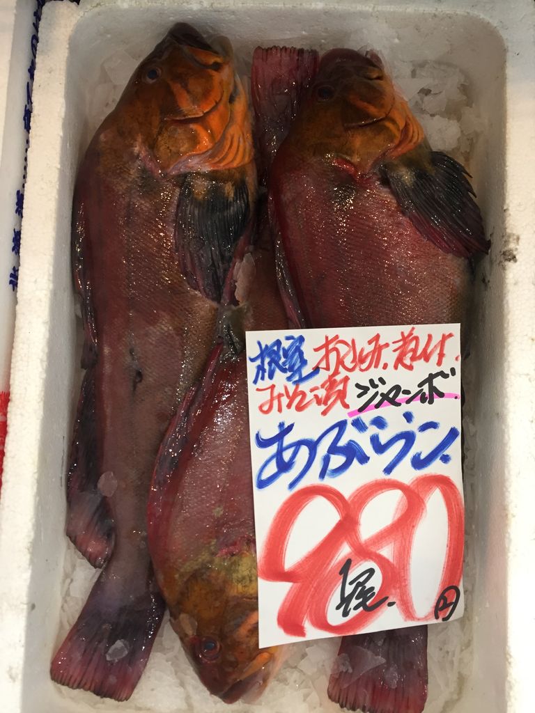 かすべ 魚 英語 カスベ 魚 英語 Nyosspixqajr
