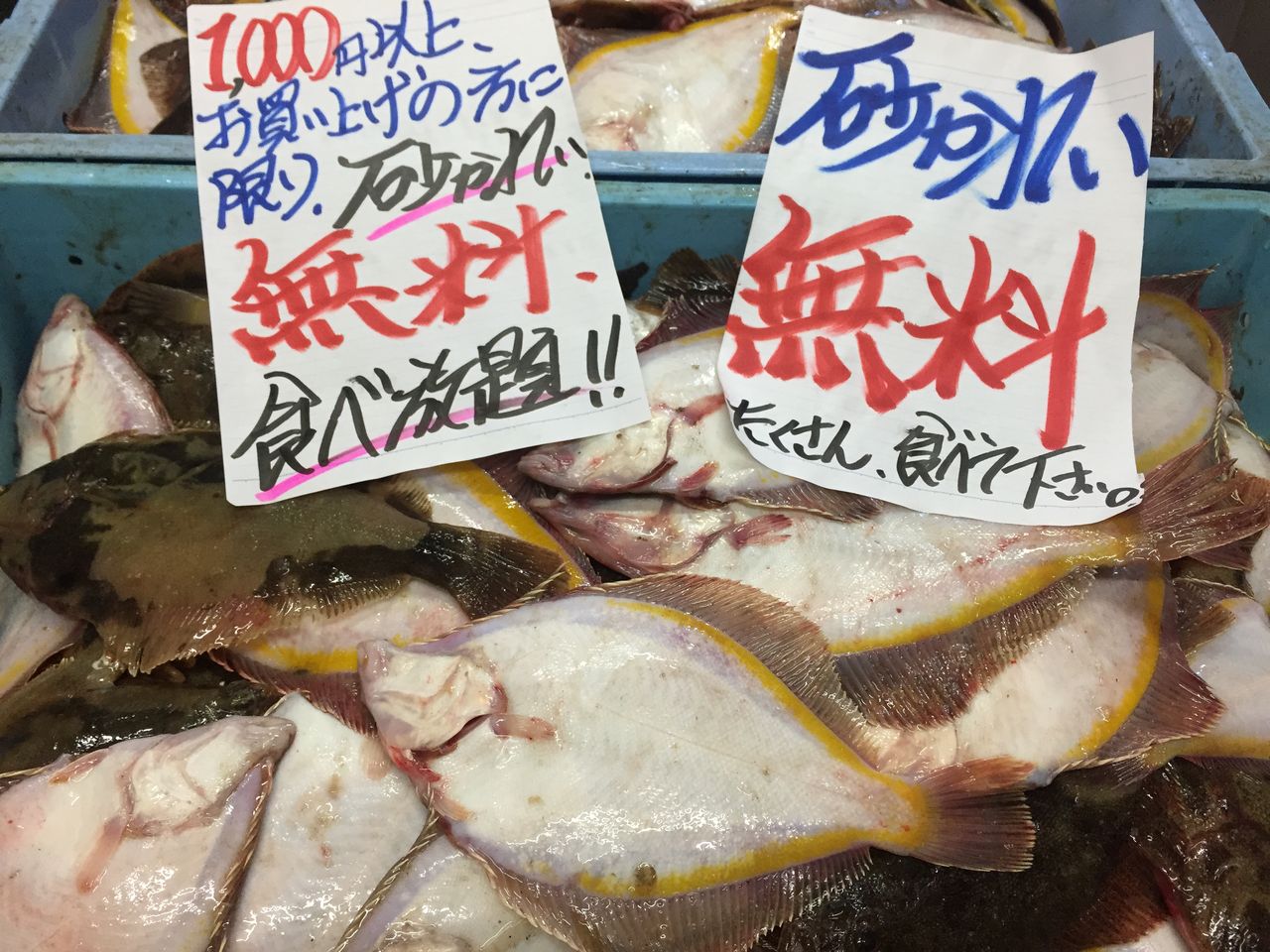 5月15日 水曜日 爆安の殿堂 道産魚工房 電話番号011 746 6750 q用活貝多数販売しております 爆安 鮮魚 青果販売 爆安の殿堂 道産魚工房 どさんここうぼう 札幌市北区北24条西17丁目3 3 新川通沿い